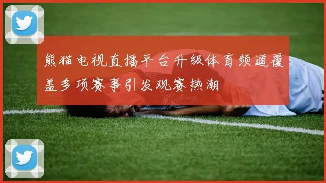 熊猫电视直播平台升级体育频道覆盖多项赛事引发观赛热潮