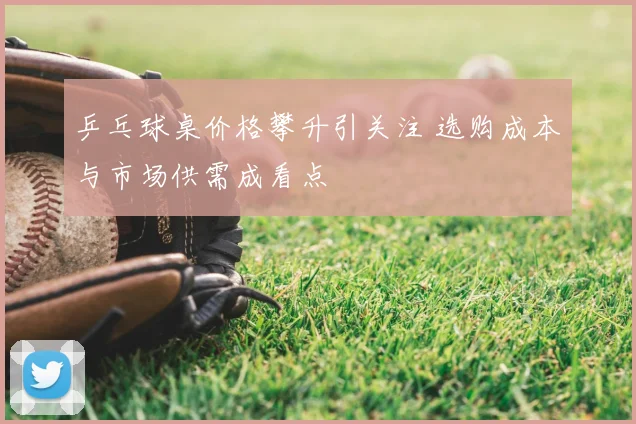 乒乓球桌价格攀升引关注 选购成本与市场供需成看点