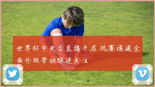 世界杯中央台直播开启 观赛通道全面升级带动球迷关注