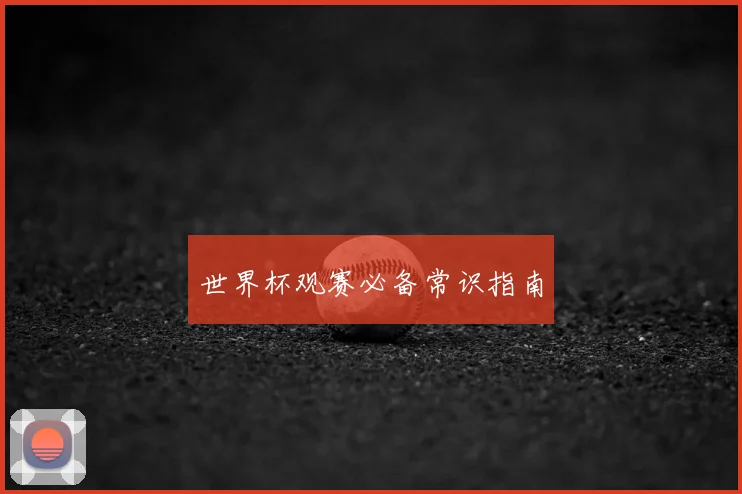 世界杯观赛必备常识指南