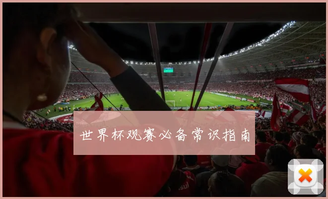 世界杯观赛必备常识指南
