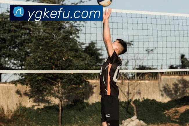 云开体育app官网入口登录网页版品牌故事