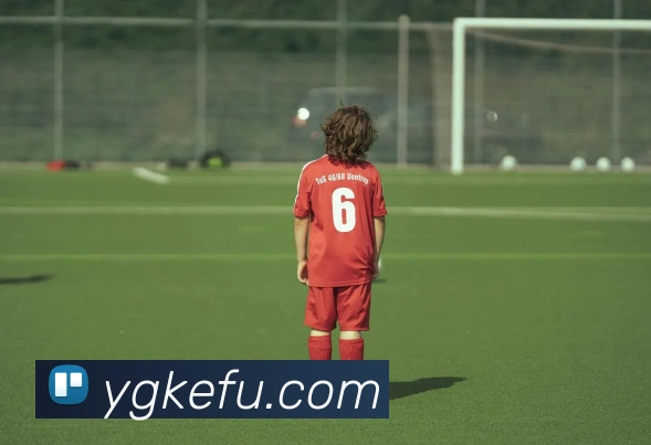 云开体育app官网入口登录网页版APP 高清赛事图